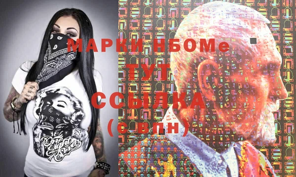 хмурый Алексин