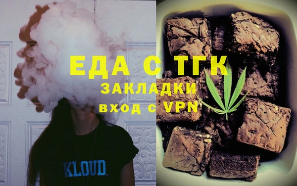 хмурый Алексин