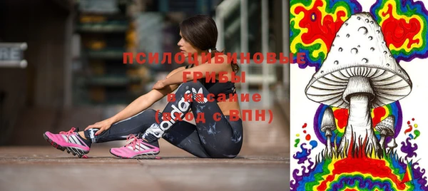хмурый Алексин